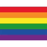 Regenboog / LGBT vlag stickers - 10x - 7.5 x 10 cm - Gay pride - plakstickers - voor binnen en buite