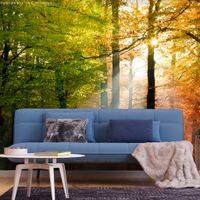 Zelfklevend fotobehang -   Kleuren van een bos , Premium Print - thumbnail