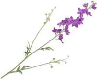 Silk-ka kunsttak delphinium 101cm lavendel