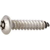 TOOLCRAFT 88114 Lenskop-plaatschroeven 4.2 mm 13 mm T-profiel met pin RVS 10 stuk(s)