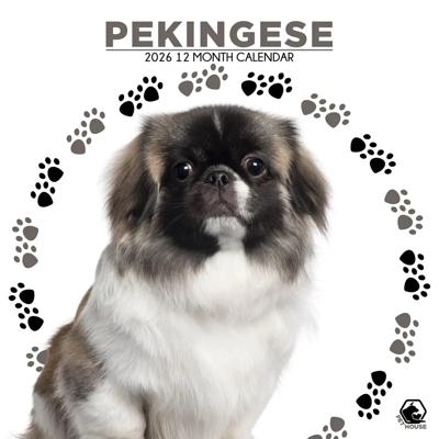 Pekingees Kalender 2026 Pekingees Kalender 2026