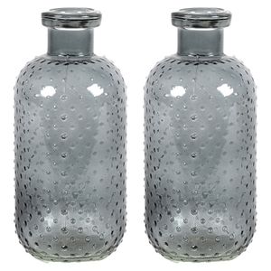 Bloemenvaas Cactus Dots - 2x - donkergrijs transparant - glas - D11 x H24 cm