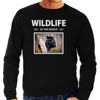 Zwarte panter sweater / trui met dieren foto wildlife of the world zwart voor heren - thumbnail