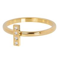 iXXXi Vulring Design Rectangle Goud