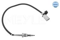 Sensor, uitlaatgastemperatuur 1148000218