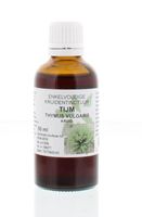 Natura Sanat Thymus vulgaris herb / tijm tinctuur (50 ml) - thumbnail