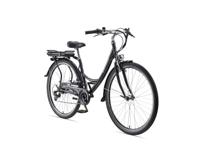 Teutoburg Senne Elektrische fiets (Antraciet)