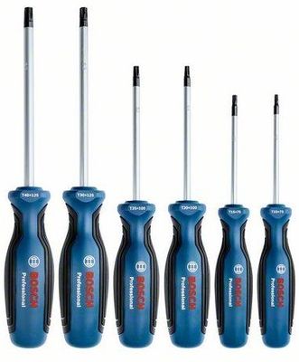 Bosch Accessoires Schroevendraaierset | 6-delig | TX - 1600A01V09
