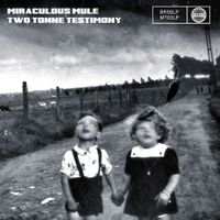 Two Tonne Testimony - CD (5051083113687) - thumbnail