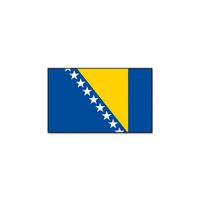 Vlag Bosnie en Herzegovina 90 x 150 cm feestartikelen - thumbnail