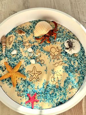 Kiddi PlayPlate Oceaan