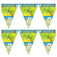 Set van 2x stuks vlaggenlijnen Hawaii Aloha thema 5 meter