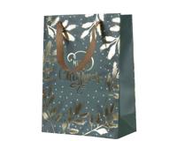 Giftbag papier l12b30h42 cm groen/goud Decoris - Decoris Giftbag papier l12b30h42 cm groen/goud Decoris - Decoris