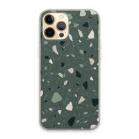Terrazzo N°19: iPhone 13 Pro Max Transparant Hoesje