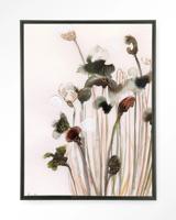 Urban Cotton Wandkleed 'Pastel Flowers 2' 110 x 145cm in Floating Frame - black