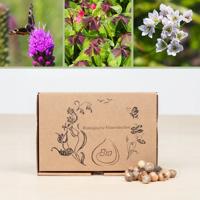 Bio zomerbloemen mix voor bijen (brievenbusdoosje) Bio zomerbloemen mix voor bijen (brievenbusdoosje)