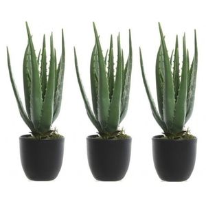 3x Groene aloe vera kunstplant 35 cm in zwarte pot