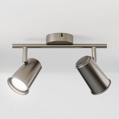 Riga - LED plafondlamp - 10 Watt 800 Lumen - 2 spots - 6000K Daglicht wit - Draaibaar en dimbaar - GU10 - Kantelbaar - Plafondspot - IP20 Voor binnen - RVS