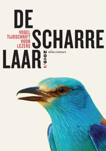 De scharrelaar-2019/1 (Paperback)