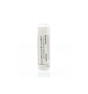Symphytum officinale D12