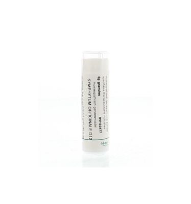 Symphytum officinale D12