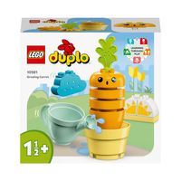 LEGO® DUPLO 10981 Mijn eerste groeiende wortel