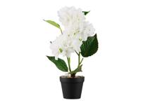 LIVARNO home Kunstplant (Hortensia) LIVARNO home Kunstplant (Hortensia)