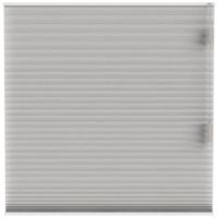 Leen Bakker - Fenstr Plisségordijn Brisbane Dubbel 25mm Lichtdoorlatend - (30017) - Polyester - Taupe - 120x10x10 Cm