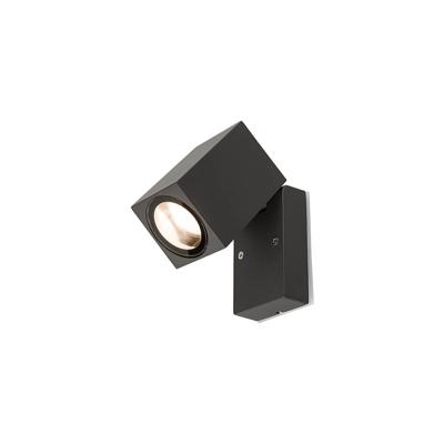 Lyora Richtbare opbouwlampPrimm antraciet - 9551