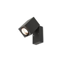 Lyora Richtbare opbouwlampPrimm antraciet - 9551