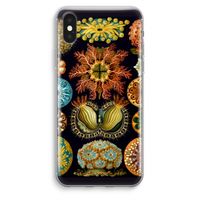Haeckel Ascidiae: iPhone XS Max Transparant Hoesje