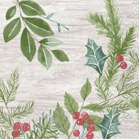 Duni Servetten Winter Greenery 33x33cm Duni Servetten Winter Greenery 33x33cm