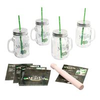 Cocktails/mojito glazen set - 4x stuks - met accessoires - transparant - 500 ML