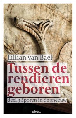 Sporen in de sneeuw (Paperback)