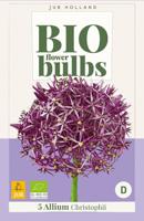 Bio allium christophii 5 bollen