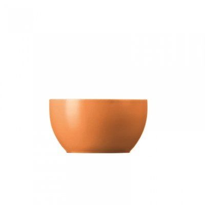 THOMAS - Sunny Day Orange - Suikerbakje 0,25l