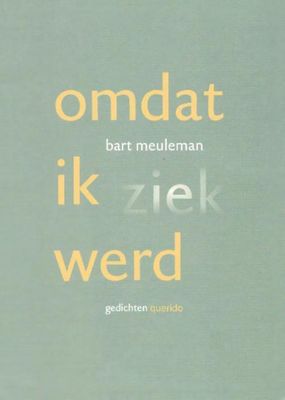 Omdat ik ziek werd - Bart Meuleman - ebook