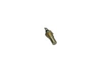 Temperatuursensor 210224 Temperatuursensor 210224