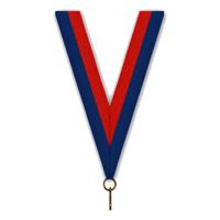 Sportprijzen Leiden Halslint - Blauw Rood