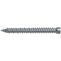 fischer kozijnschroef FFSZ - 7.5x92 mm - Torx T30 - 100 st - 532910