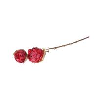 HBX Natural Living Decotak roos 45cm rood