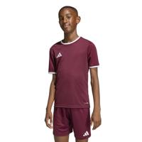 adidas Entrada 26 Voetbalshirt Kids Donkerrood Wit