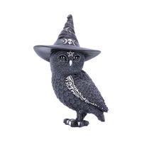 Nemesis Now Beeld Heksen Uil &apos;Owlocen&apos; - 14 x 9 x 7 cm
