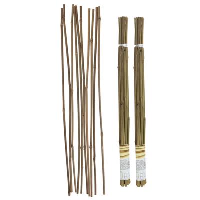 Gerimport Plantenstokken - 20x stuks - 60 cm - plantensteun / tonkinstokken