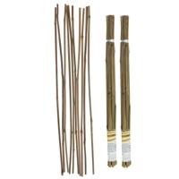 Gerimport Plantenstokken - 20x stuks - 60 cm - plantensteun / tonkinstokken