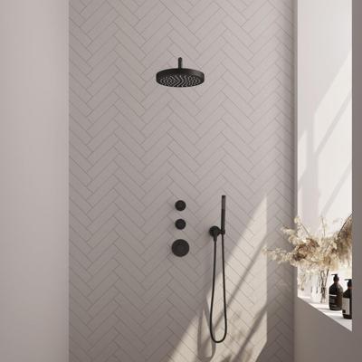 BRAUER Stripe Thermostatische Inbouw Regendouche - SET 02 - 25cm douchekop - gebogen muurarm - staaf handdouche - doucheslang - wandaansluitbocht - mat zwart 5-S-367