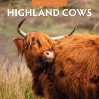 Schotse Hooglanders Kalender 2027