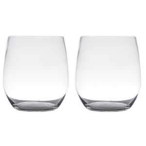 Set van 2x stuks transparante home-basics vaas/vazen van glas 19 x 15 cm Tony