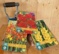 Cadeaupakket zomerbloembollen Dahlia rood, Gladiolen geel en Crocosmia oranje Warentuin Mix - Warentuin mix