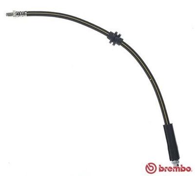 Remslang T68084